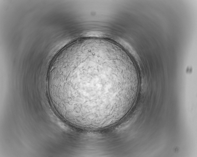 X0000093610529200710291207