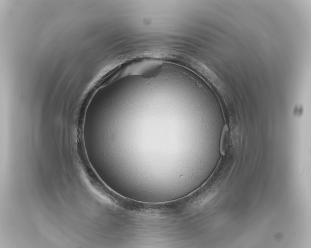 X0000093610530200710291207