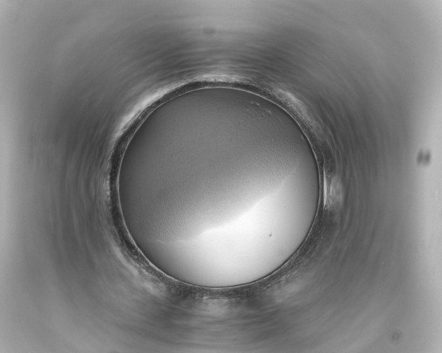 X0000093610531200710291207