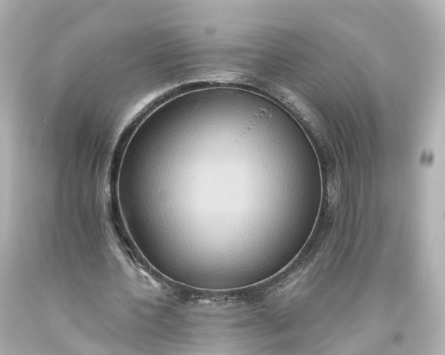 X0000093610532200710291207