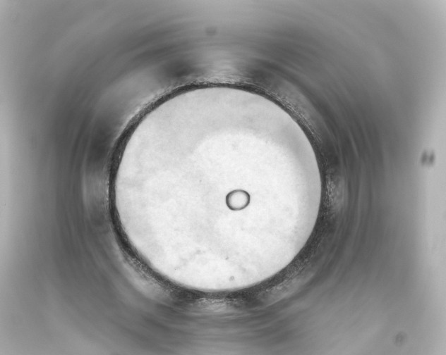 X0000093610534200710291207
