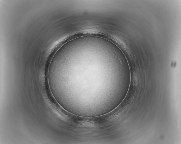 X0000093610535200710291207