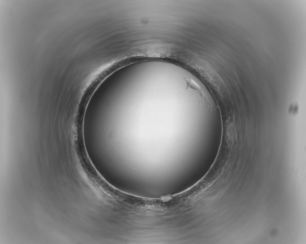 X0000093610536200710291207