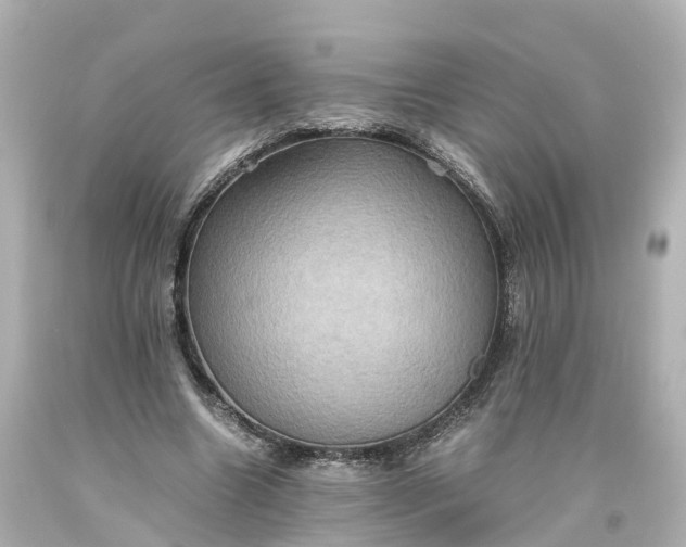 X0000093610538200710291207