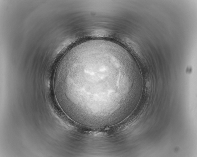X0000093610539200710291208