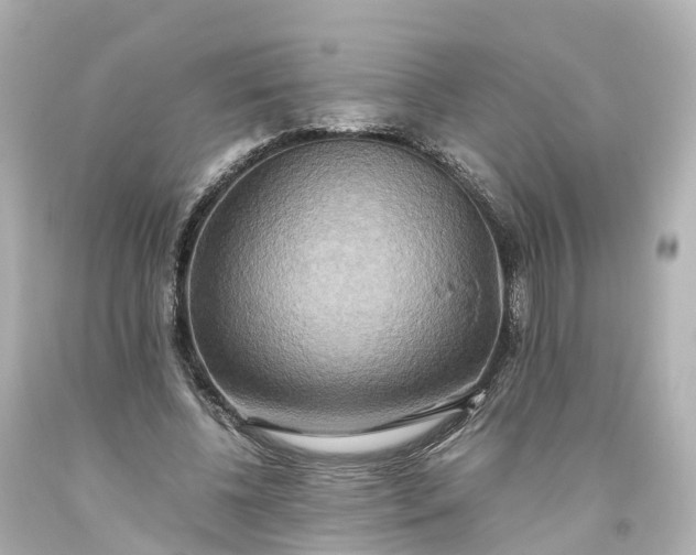 X0000093610540200710291208