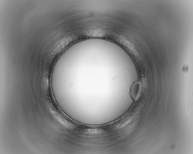 X0000093610541200710291208