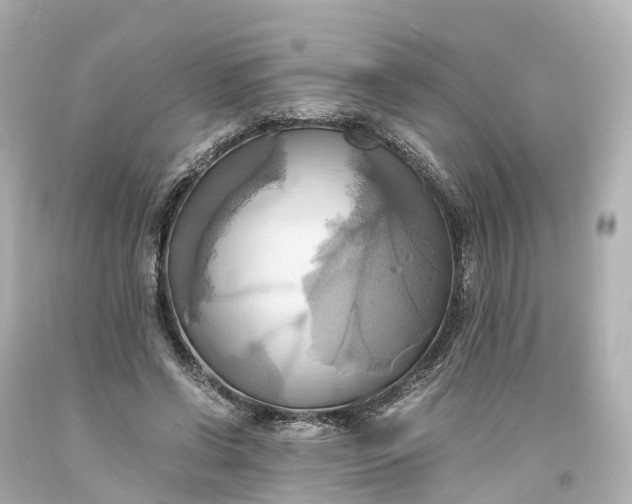X0000093610542200710291208