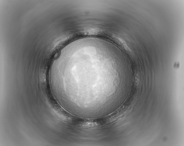 X0000093610543200710291208