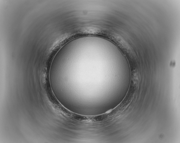 X0000093610544200710291208