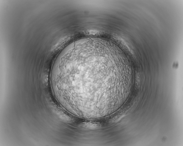X0000093610545200710291208