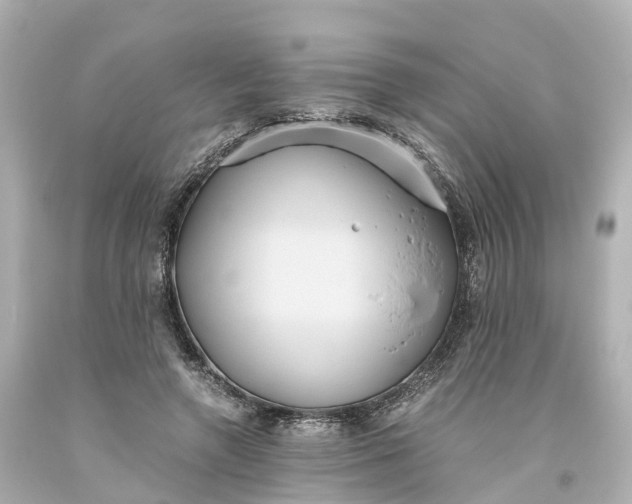 X0000093610546200710291208