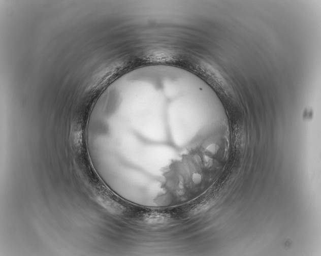 X0000093610549200710291208