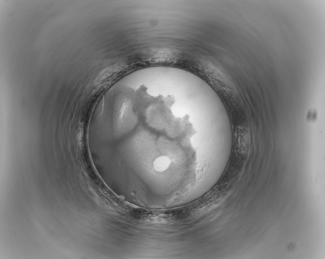 X0000093610550200710291208