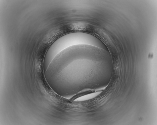 X0000093610551200710291208