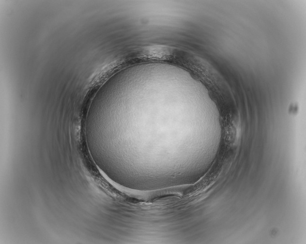 X0000093610552200710291208