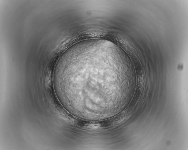 X0000093610554200710291208