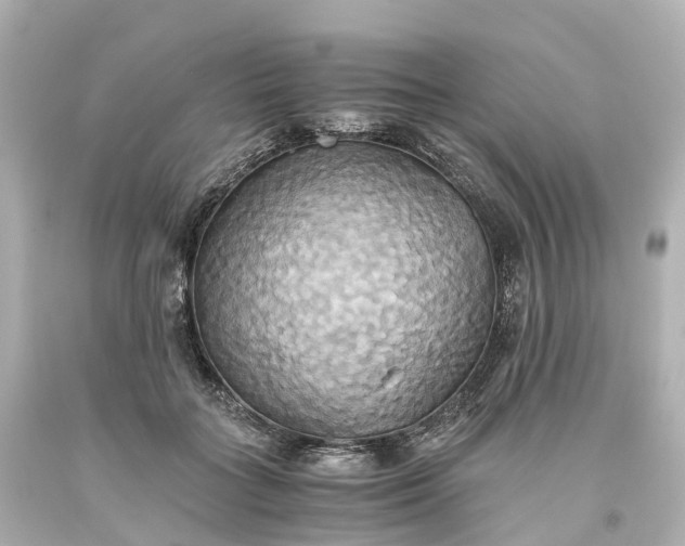 X0000093610555200710291208