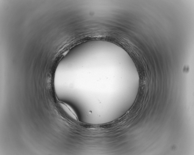 X0000093610556200710291208