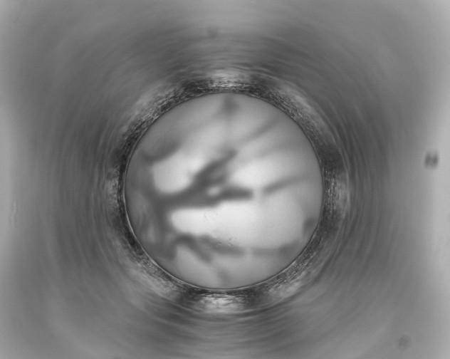 X0000093610557200710291208
