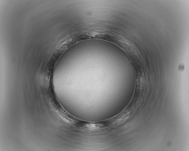 X0000093610558200710291208