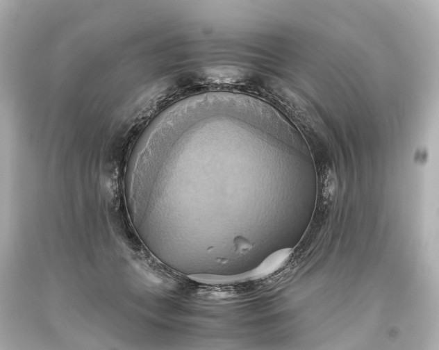 X0000093610559200710291208