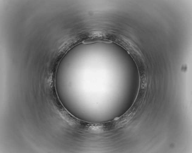 X0000093610560200710291208