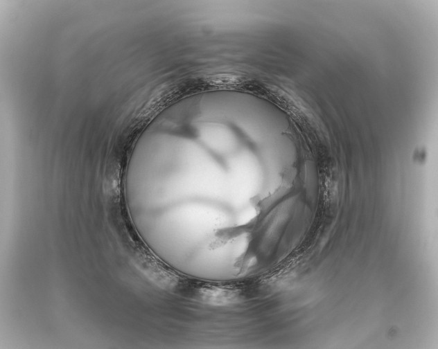 X0000093610561200710291208