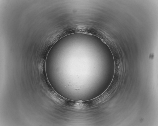 X0000093610562200710291208