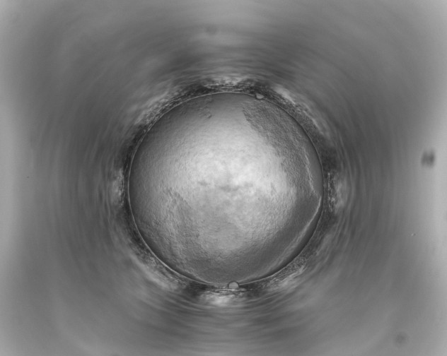 X0000093610563200710291208