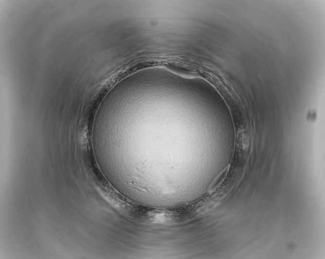 X0000093610564200710291208