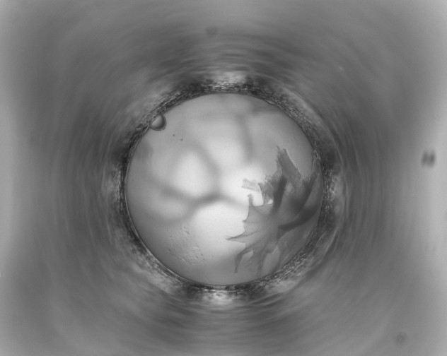 X0000093610565200710291208