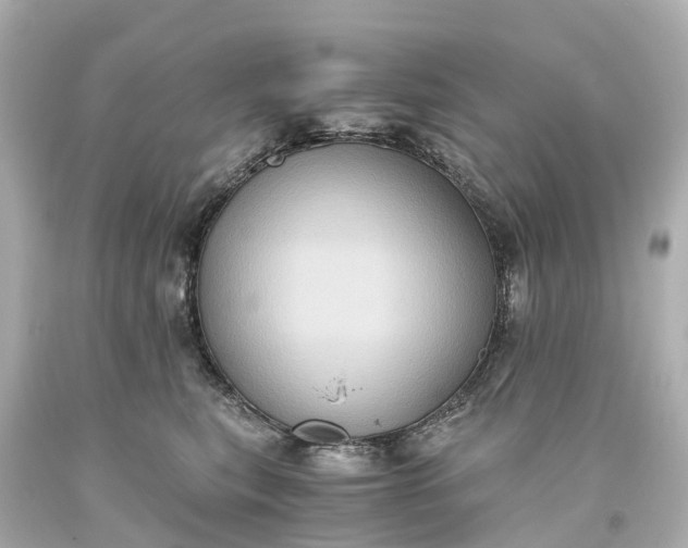 X0000093610567200710291208
