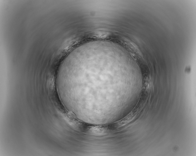 X0000093610568200710291208