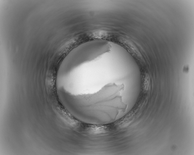 X0000093610569200710291208