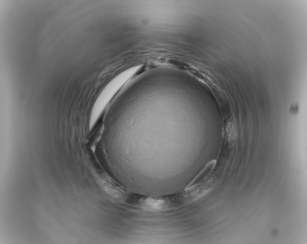 X0000093610570200710291208
