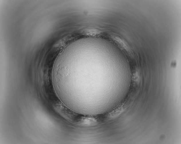 X0000093610572200710291208