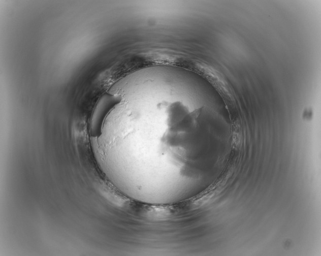 X0000093610573200710291208