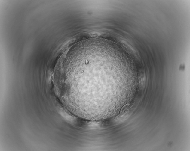 X0000093610574200710291208