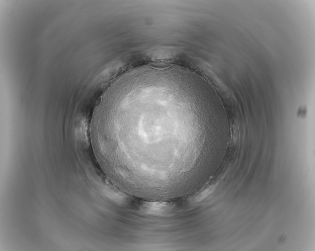 X0000093610575200710291208