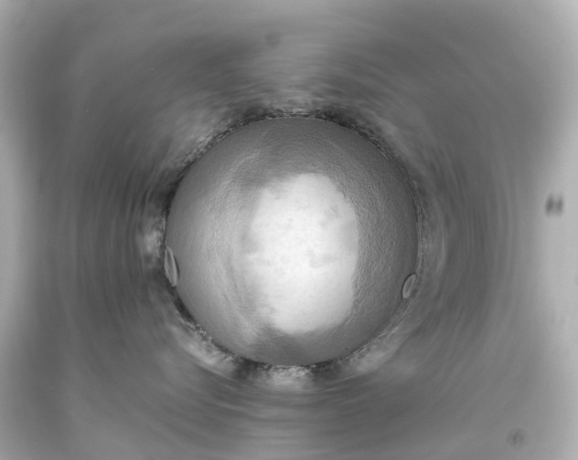 X0000093610576200710291208