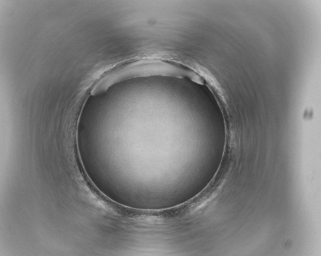 X0000093610577200710291207