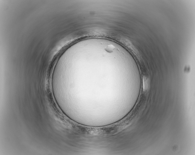 X0000093610579200710291207