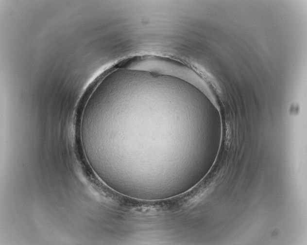 X0000093610580200710291207