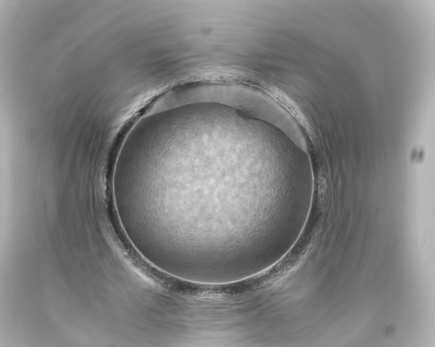 X0000093610581200710291207