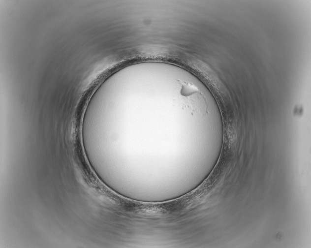 X0000093610583200710291207