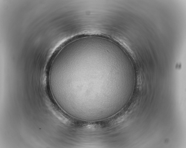 X0000093610584200710291207