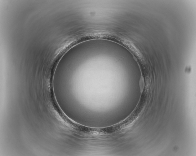 X0000093610585200710291207