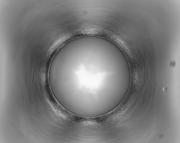 X0000093610586200710291207