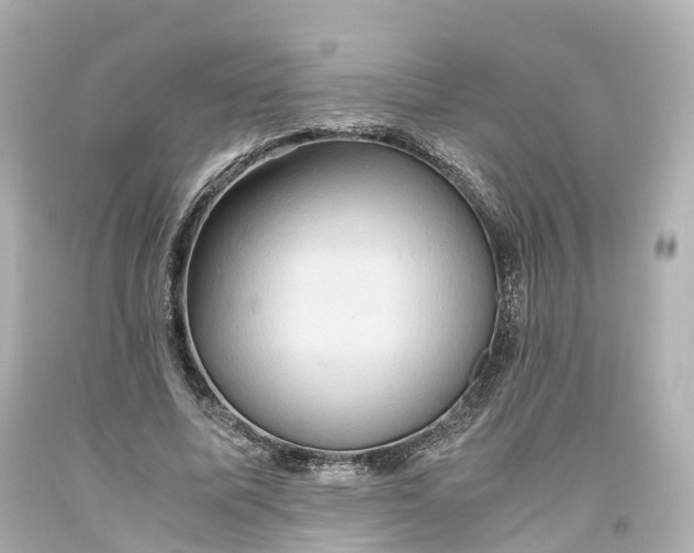 X0000093610587200710291207